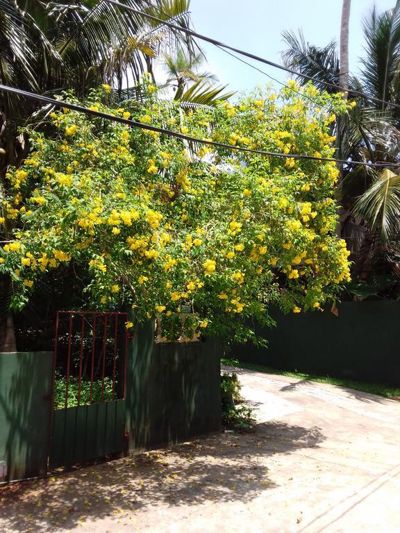Serenity Villa Hikkaduwa Dış mekan fotoğraf